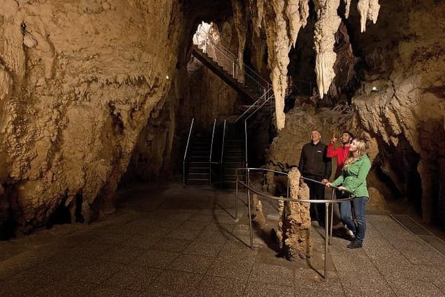 Waitomo Glowworm Caves NZ 